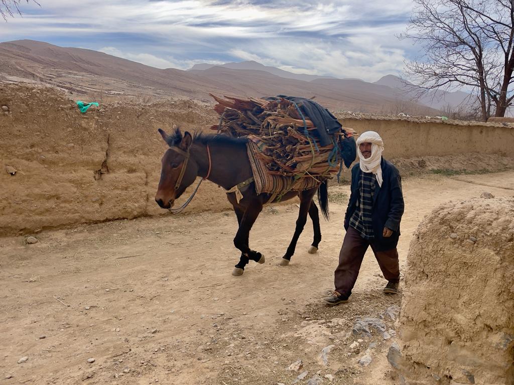 North Africa’s disappearing nomads: Why my community needs climate finance thumbnail