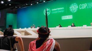 Bigger share of COP29 badges for Global South NGOs upsets rich-country groups