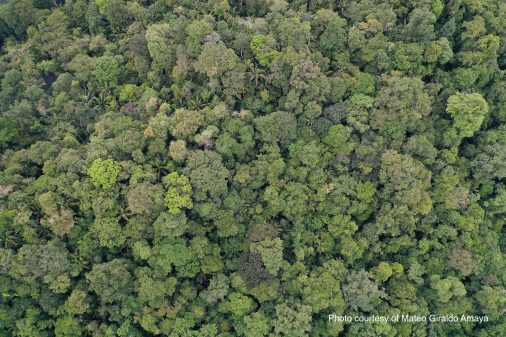 Aerial view of a rainforest in the Colombian Pacific region, nestled within the heart of the Chocó Biogeographic Region, one of the world's most enigmatic biodiversity hotspots. Colombia adds nature to the mix with its $40-billion energy transition plan