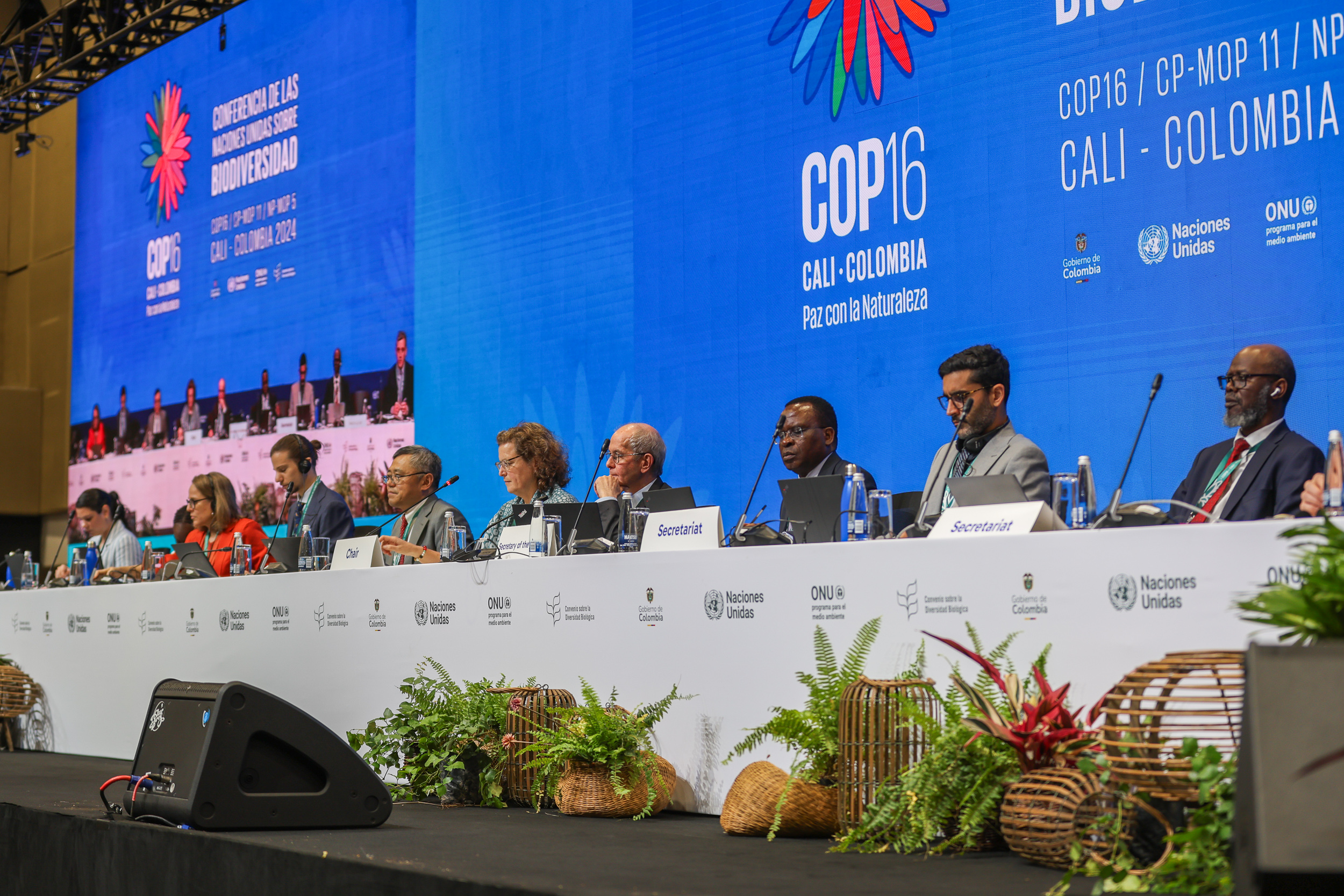 Chair of Working Group 1, Charlotta Sörqvist from Sweden, during discussions on financing biodiversity at COP16.