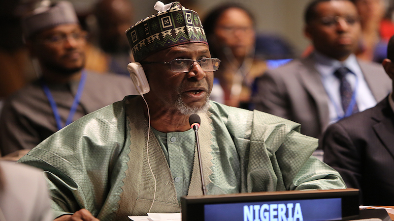 Nigeria's environment minister Balarabe Abbas Lawal