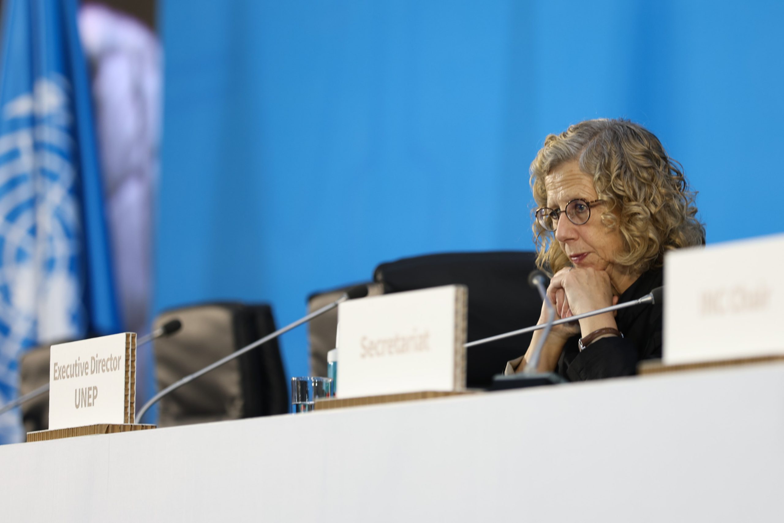 UNEP executive director Inger Andersen at the opening plenary of the INC-5 talks in Busan, South Korea, where countries are set to reach an agreement on tackling plastic pollution